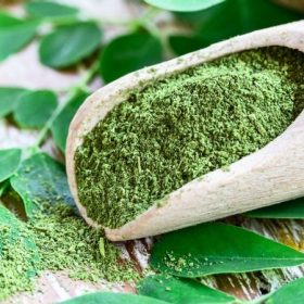 Type 2 Diabetes: Can Moringa Leaves Help Lower Blood Sugar Levels? 4 moringa cures diabetes