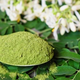 How Moringa Reduces Arthritis Inflammation And Soothes Joint Pain 7 moringa spoon