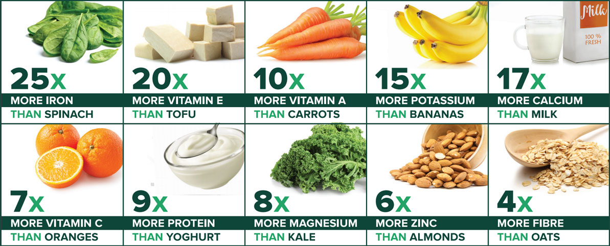 Home 14 | Natpurity - Moringa Health Supplements & Skincare Malaysia