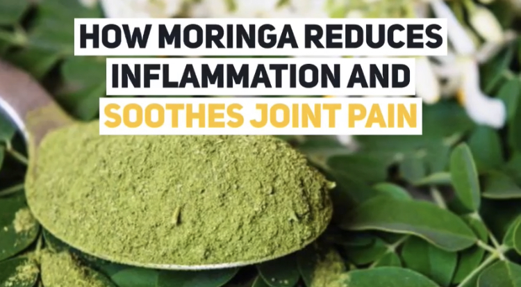 How Moringa Reduces Arthritis Inflammation And Soothes Joint Pain 5 How Moringa Reduces Arthritis Inflammation And Soothes Joint Pain 4 | Natpurity - Moringa Health Supplements & Skincare Malaysia