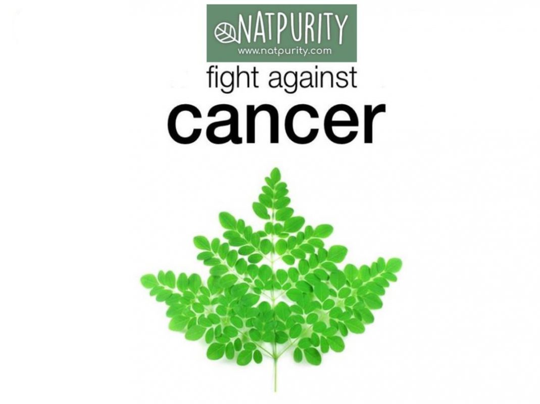 MORINGA OLEIFERA LEAVES EXTRACT ACTS AS ANTI-CANCER 12 MORINGA OLEIFERA LEAVES EXTRACT ACTS AS ANTI-CANCER