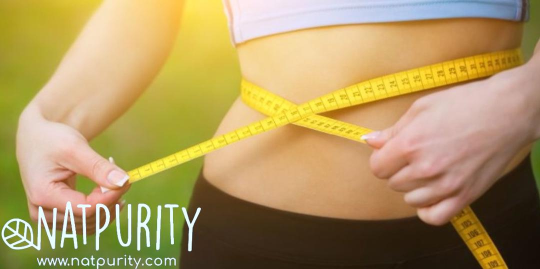 MORINGA CAN HELP LOSE WEIGHT 6 MORINGA CAN HELP LOSE WEIGHT 5 | Natpurity - Moringa Health Supplements & Skincare Malaysia